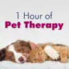John Silverman & Pet Care Music Therapy - 1 Hour of Pet Therapy: Sleep Music for Cats & Dogs